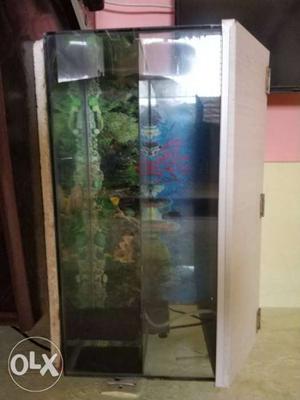 2 ft. Freshwater Fishtank with Pebbles, metal Top cover &