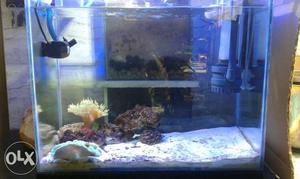2ft marine tank for sell... urgent...