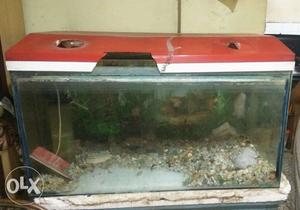 3 ft / 1&1/2 ft Aquarium for sale with lots of