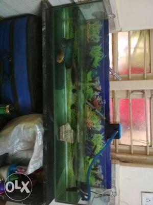 4 fit fish tank with top filter and hiter