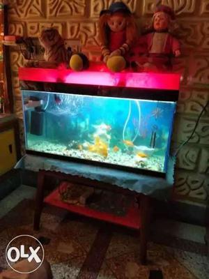 Aquarium, fish, accessories, food for sell. Size