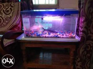 Aquarium for sale 35 liters capacity with accessories