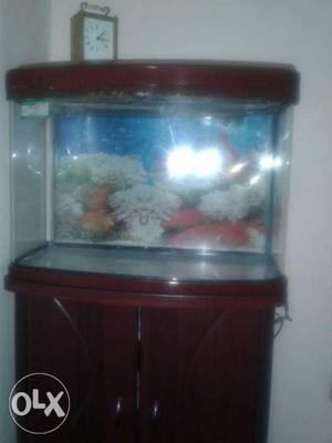 Aquarium in very good condition with aquarium