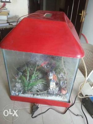 Aquarium in working condition with water heater