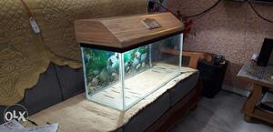 Aquarium only tank