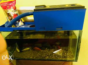 Aquarium tank with filter