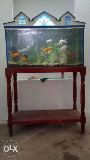 Aquarium with stand and top