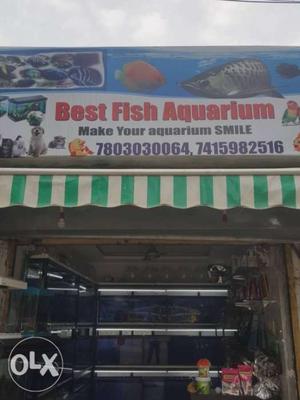 Best Fish Aquarium Storefront