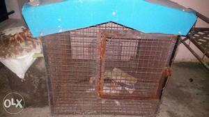 Birds cage in good condition Dobal net