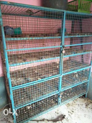 Chicken cage 6X6x2 ft heavy gauge