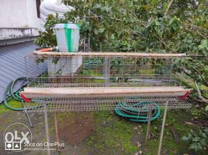 Chicken coop cage kozhi kood BV 380 automatic capacity