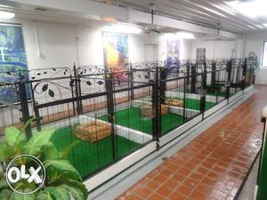 Dog hostel facility available here at mundi kharar mohali