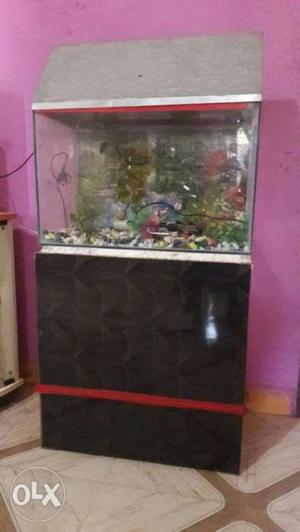 Fish Aquarium with heater and oxygen/bubble
