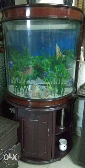 Fish Tank Table Cabinet