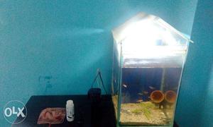 Fish Tank with Oxygen filter,magnet