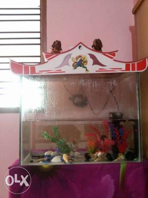 Fish aquarium for Rs Length: 24 " Height: