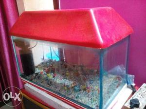 Fish aquarium with red top attached with filter