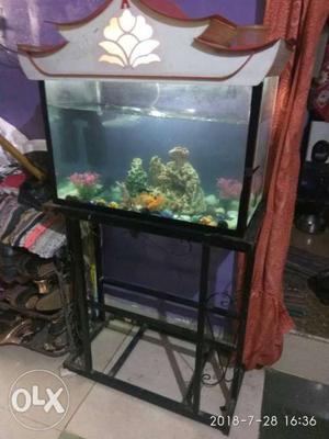 Fish tank 24 inch in good condition