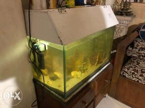 Fish tank 24" x 15" with metal cover and light
