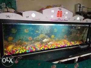 Fish tank 4ft, cover, top filter, led light