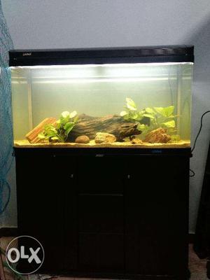 Fish tank for sale