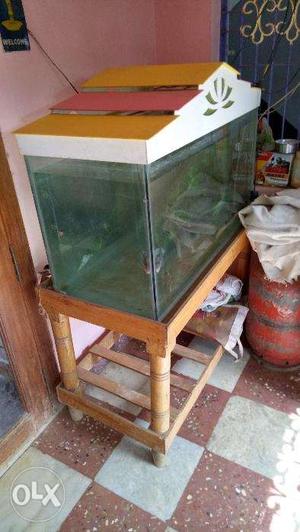 Fish tank set 3 ft with flowerHorn fish