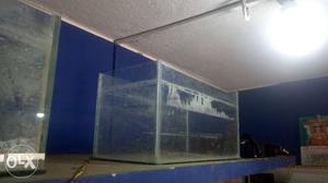 Fish tank size  & required size