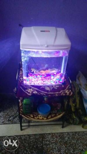 Free all fishes,oxygen,food packet,filter,2