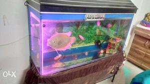 Full set aquarium 48 inch tank with stand 1