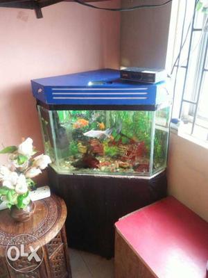 Full set as it is With fishes