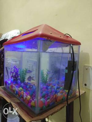 Good condition aquarium and Motors with three fish
