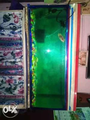 One 2.5 / 1 ft aquarium with corner filter,