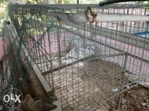 Poultry battery cage it been used for one year