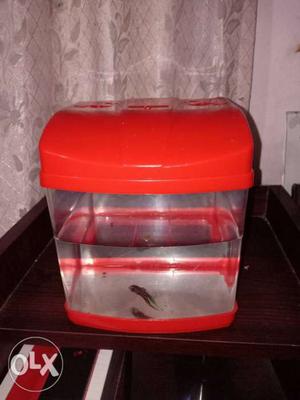 Red And Clear Plastic Container