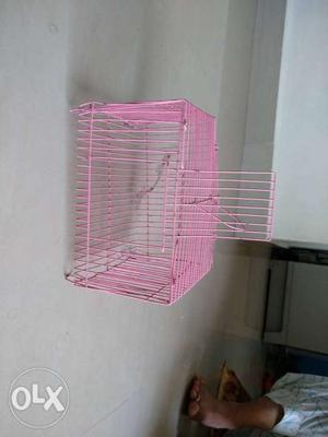 Small beautiful cage