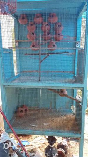 Wooden bird cage 2 floor