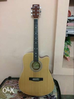 Acoustic Guitar Brand New condition