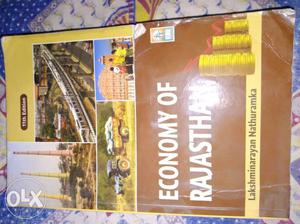 Economy Of Rajasthan Book