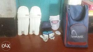 Full kit of cricket--helmet,glapse,thaipad,legpad,
