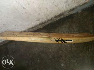 Kashmiri willow bat good condition