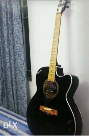 New guitar only 3 month with awesome condition