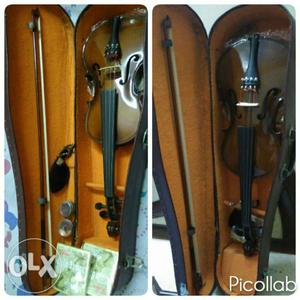 Brown Violin With Case Collage