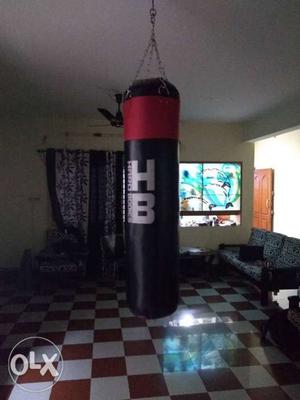 Hard bodies punching bag