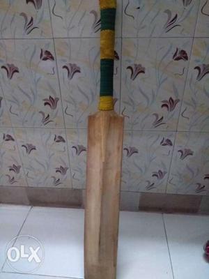 Kashmir Willow bat good condition without any