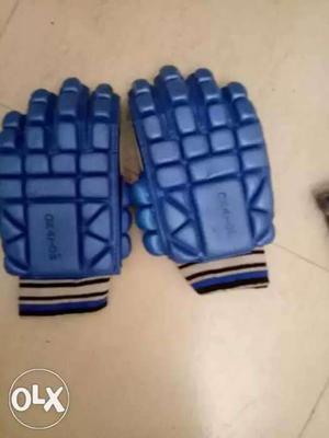 Pair Of Blue Gloves