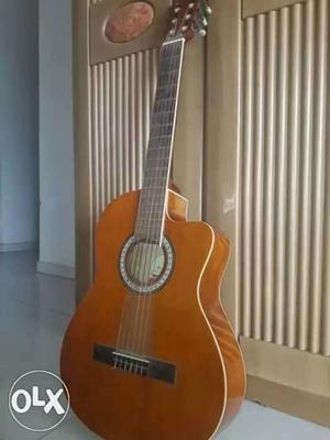 Pluto accoustic guitar.6 strings...wd guitar stand