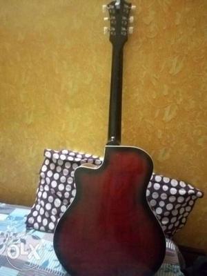 Takamin Indian acoustic guitar with new installed