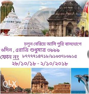 Tour of Puri by bus worth days