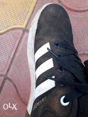 Unpaired Black Adidas Sneaker