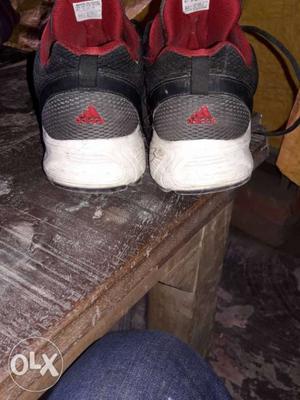 Adidas shoes after 1 year in very good condition